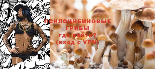 трава Зеленодольск