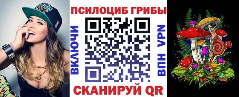 Купить  Озёрск  Галлюциногенные грибы мицелий 